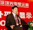 友达光电全球执行副总彭双浪