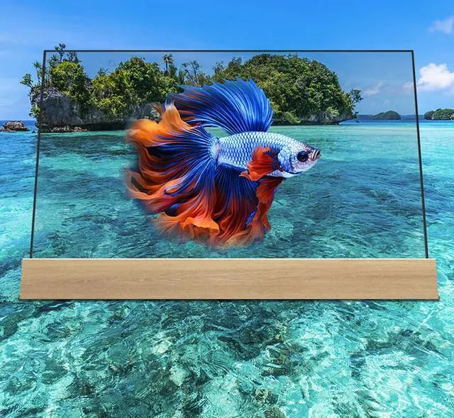 飞利浦推出55英寸透明OLED电视，售价66900元