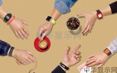 国内首个智能可穿戴设备行业标准出台