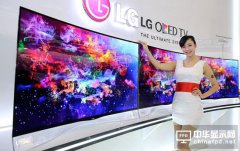 LG投资2.63亿美元扩大OLED面板产线
