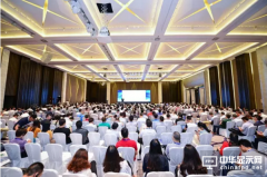 2016中国国际OLED产业大会嘉宾访谈：OLED的现状和未来