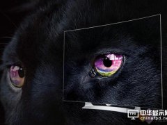 LG力拼智能家电 OLED电视会快速普及