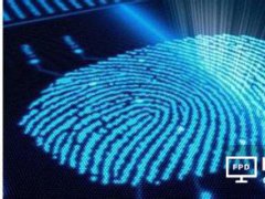 指纹传感器一片火热 小间距LED市场需求旺盛