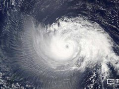 台风搅局　液晶显示终端出货受影响