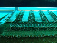 晶采Q3业绩降温；Q4需观察年底效应