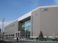 王东升：行业将迎洗牌 京东方转型物联网