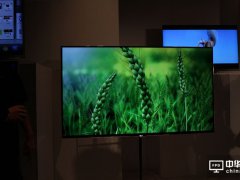 柔宇或携手华为、Vivo和Oppo筹组联盟 投资OLED面板