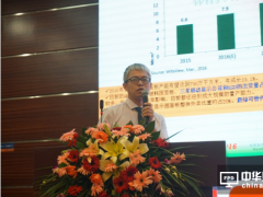 绿泰电子刘鸿达：专注开发超广色域和超低功耗高端手机屏