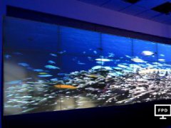 日本东北大学研制出超软LCD 曲率半径可达3mm