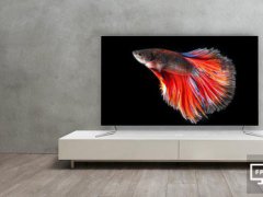 OLED+杜比技术 长虹发布CHiQ电视新品