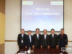 LGD高层空降苏宁 共谋2017 OLED市场增量