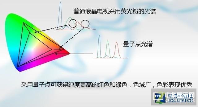 革新与颠覆 OLED/量子点显示孰能称王?