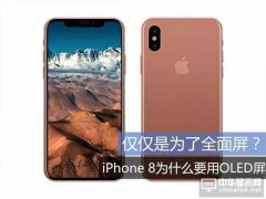 全面屏风靡的时代  苹果iPhone 8一定要采用OLED屏幕的理由