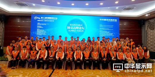 各大显示技术齐头并进，中国显示产业将如何布局？