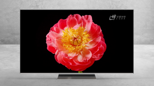 TCL TV张少勇：TCL Mini LED已量产 全球销量市占率超90%