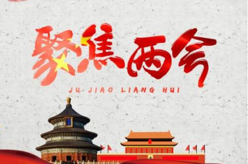【两会】彭寿代表：强化基础材料创新赋能“中国创造